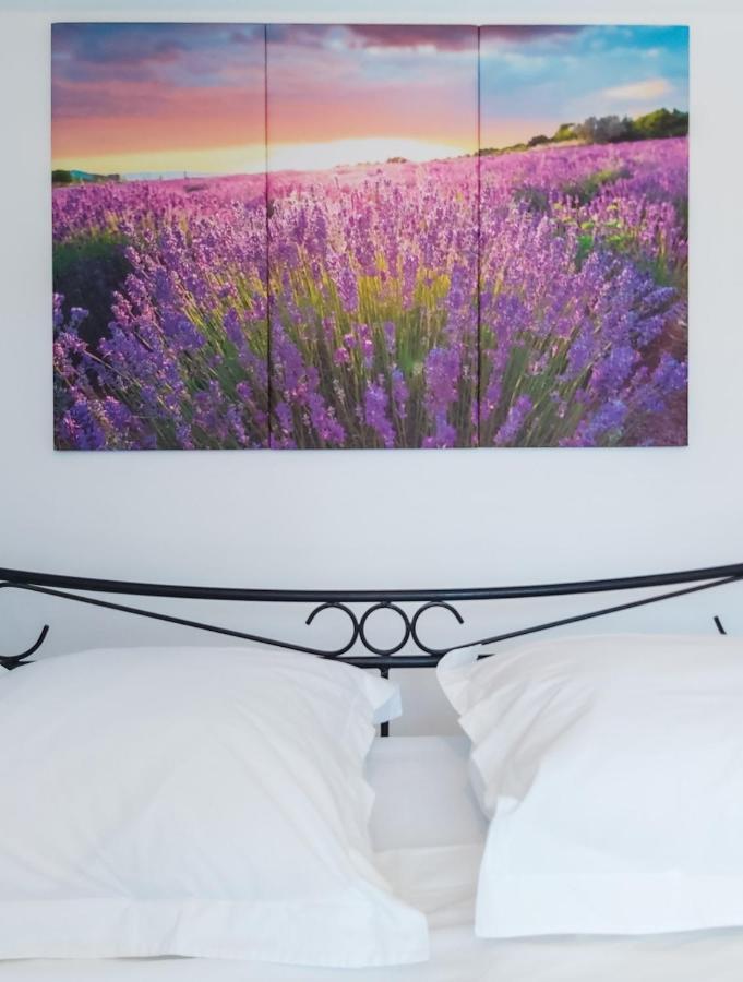Etoilevacances Chambres D Hotes Campagne En Lavande Saint-Cézaire-sur-Siagne Buitenkant foto